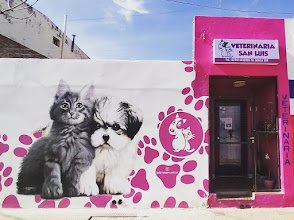 Veterinaria San Luis
